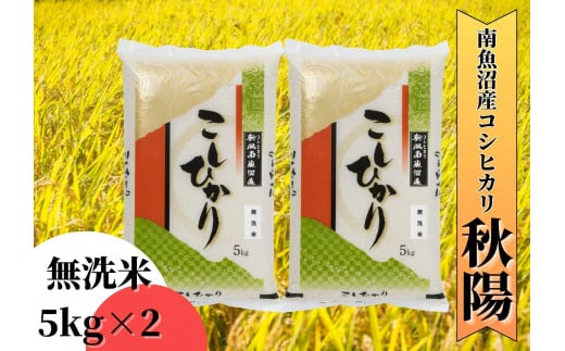 
            【令和7年産 新米予約】南魚沼産コシヒカリ「秋陽」（無洗米10kg）新潟県の特A地区南魚沼市の美味しいお米【2025年（令和7年）10月上旬より順次発送予定】【米 お米 こしひかり 南魚沼 米 無洗米 こめ 新潟 米】
          