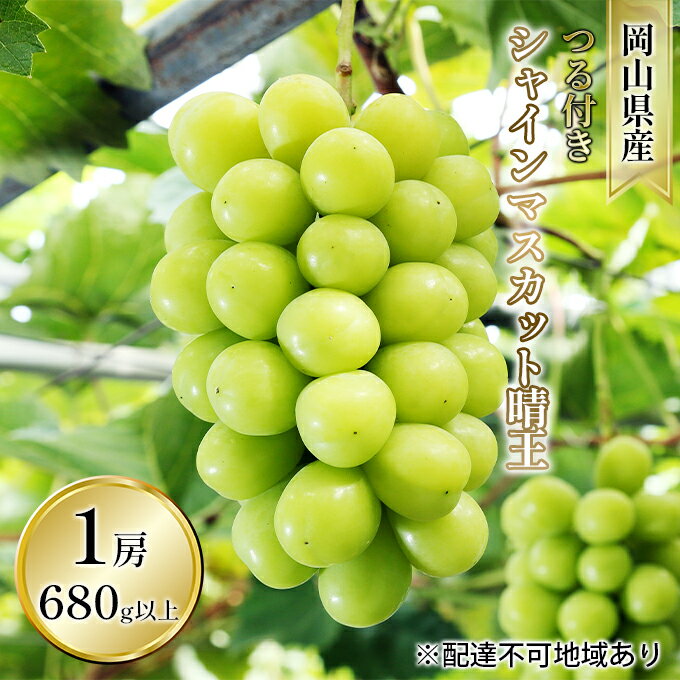 【ふるさと納税】ぶどう 2026年 先行予約 つる付き シャイン マスカット 晴王 1房 680g以上（ハウス栽培） ブドウ 葡萄 岡山県産 国産 フルーツ 果物 ギフト 岡山の葡萄 　お届け：2026年7月上旬～2026年8月上旬