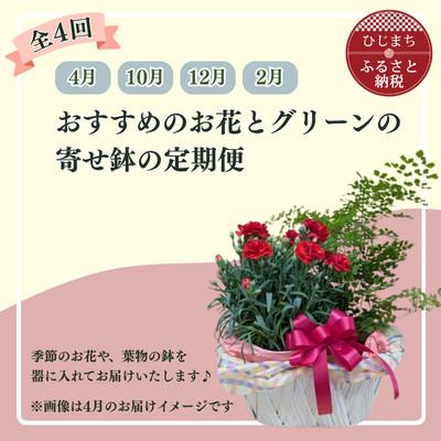 ふるさと納税 日出町 【発送月固定定期便】育てる楽しさも味わえる♪花精おすすめのお花とグリーンの寄せ鉢全4回