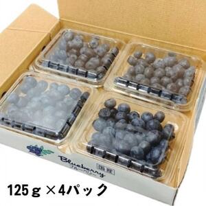 【期間限定】【苅谷果樹園】大粒ブルーベリー(L～2Lサイズ)約500g　小分けパック　岩手県軽米町【配送不可地域：離島・沖縄県】【1518036】