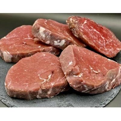 ふるさと納税 遠賀町 博多和牛ヒレステーキ100g×5枚　自家製ジャポネソース付(遠賀町)