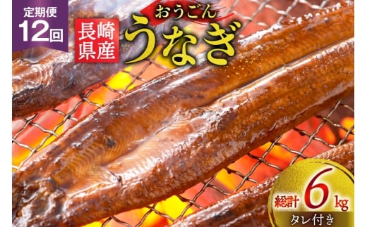 うなぎ 国産 蒲焼 長崎県産 おうごんうなぎ 約500g 3尾~4尾 12回 定期便 総計 約6kg [松永水産 長崎県 平戸市 hr42bgy400054] 鰻 うな重 うな丼 ひつまぶし 蒲焼き かばやき タレ付き 養殖 国内産 冷凍 unagi