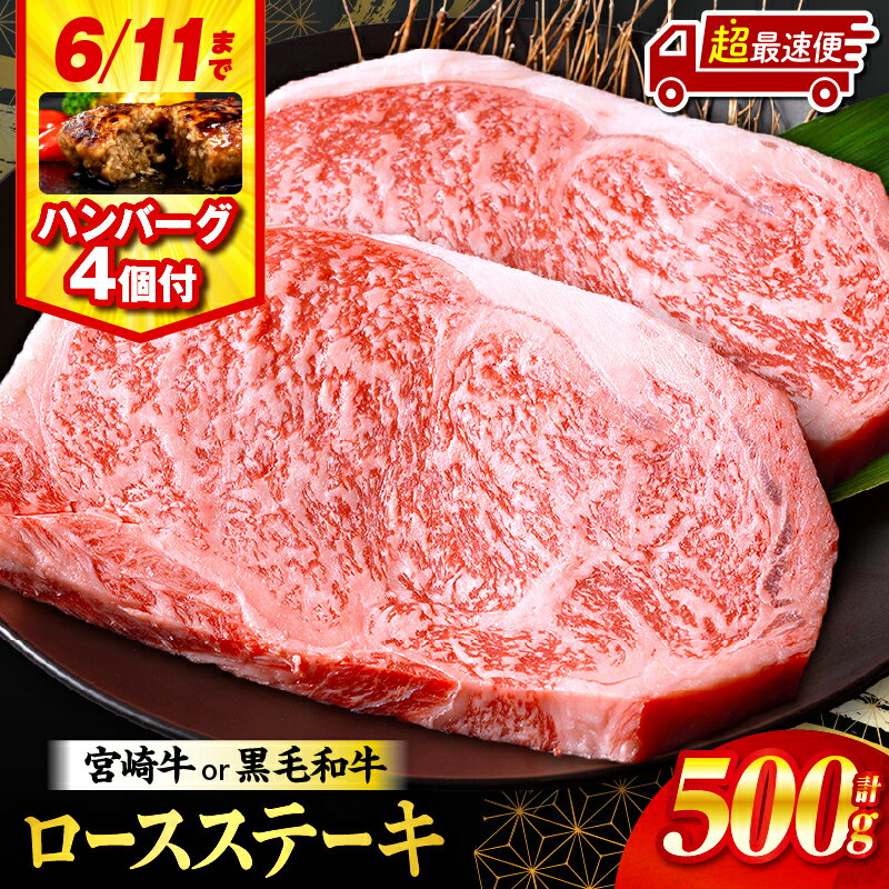 【ふるさと納税】高評価★4.61 総合ランキング1位【発送時期が選べる】【期間・数量限定】畜産農家応援！宮崎牛or黒毛和牛ロースステーキ250g×2・国産牛ハンバーグ100g×4個 宮崎牛 黒毛和牛 肉 牛肉 ロースステーキ ロース ステーキ 焼肉 宮崎牛ステーキ 国産 おすすめ