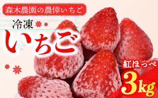 冷凍 いちご 苺 3kg 完熟 紅ほっぺ ヘタ取り いちご 静岡 限定 苺 冷凍いちご 果物 スイーツ いちご 紅ほっぺ 牧之原市 デザート フルーツ スイーツ アイス ジャム シャーベット ベリー 氷菓 冷凍 甘い オススメ ギフト 人気 紅ほっぺ 牧之原市 森木農園