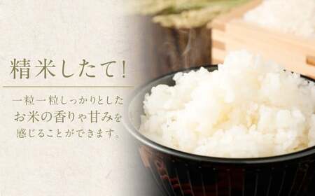 【6回定期便】 筑後の実り 5kg×6回 定期便  米 白米 ブレンド ご飯 国産 贈り物 定期便 福岡県 筑後市