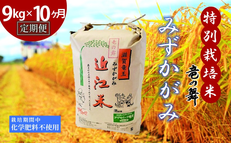 
                  【定期便10回コース】 米 みずかがみ 白米 9kg×10回 2025年産 竜の舞 化学肥料不使用 特別栽培米 玄米 時容量 10kg 国産 安心 安全 近江米 米 お米 白米 お弁当 玄米 産地直送 滋賀県 竜王町 送料無料
                