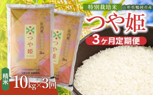 【令和8年産 新米】【定期便3ヵ月】斎藤農場の特別栽培米 つや姫 精米 10kg(5kg×2袋)×3ヶ月 山形県鶴岡市 K-881 | 米 こめ コメ つやひめ ブランド米 庄内米 ごはん ご飯 美味しい 国産 おにぎり 農家直送 おすすめ 人気 お取り寄せ 返礼品