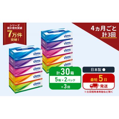 ふるさと納税 岩沼市 定期便 ティッシュ クリネックス ティシュー 5箱入×2P《計3回》[No.5704-1040] |  | 01