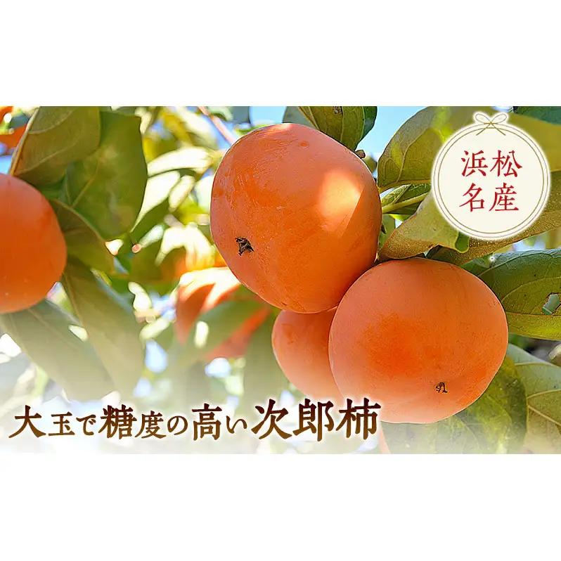 【2026年11月中旬より順次発送】【秋の味覚】幻の柿 次郎柿！木成り完熟の逸品6個入り（1.5kg） 果物 フルーツ かき 冬の味覚 産地直送 静岡県産 浜松市産 ギフト 