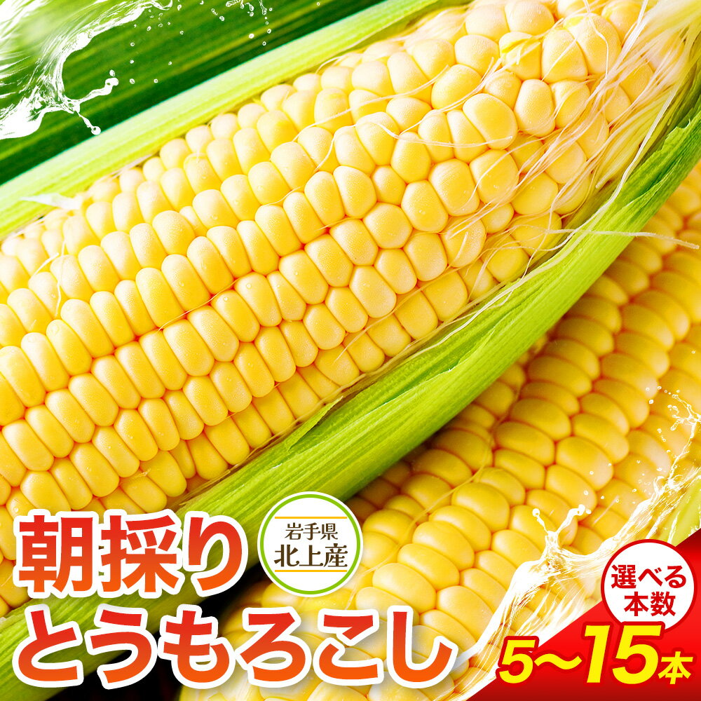 【ふるさと納税】予約受付【2025年7月中旬頃〜発送開始】北上産のとうもろこし 5本 ・ 10本 ・ 15本 夏 旬 野菜 おやつ BBQ グリル 焼きとうもろこし 朝採 採れたて フレッシュ コーン 徳用 大容量 岩手県 北上市 展勝地 桜の名所 展勝地レストハウス