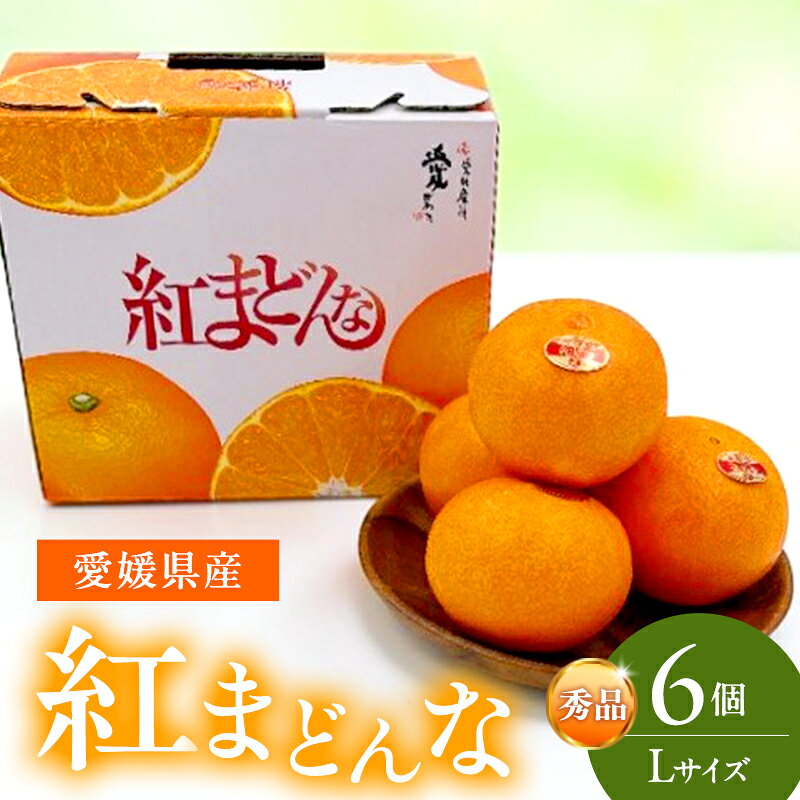 【ふるさと納税】紅まどんな 秀品 Lサイズ 6個 果物 フルーツ 柑橘 柑橘類 国産 愛媛　お届け：2026年11月中旬～2026年12月下旬