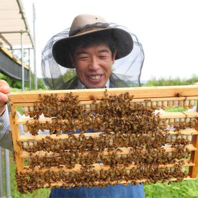 ふるさと納税 富田林市 日本産100%ローヤルゼリーカプセル　ローヤルゼリー専門養蜂場アズマ養蜂場からお届けします。 |  | 03