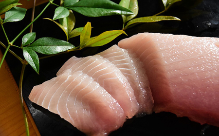 ビンチョウマグロ 脂柵 刺身用 魚貝類 ビンチョウマグロ【3柵 約600g】