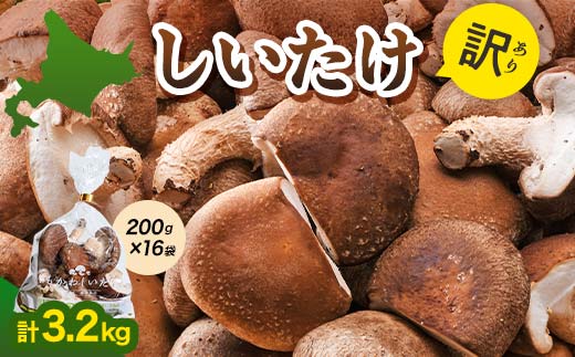【2026年2月発送】 生しいたけ【形が悪いなどの訳あり品】3.2kg（200g×16袋） F4G-0268