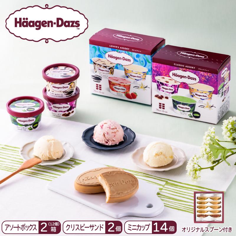 
                  【16B001】　ハーゲンダッツ／バラエティセット
                