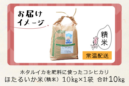 【順次発送中】【新米】ほたるいか米（新米/精米１０kg）※9月以降順次発送