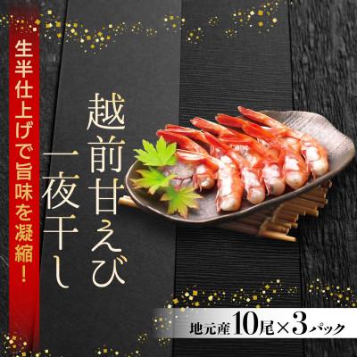 ふるさと納税 越前町 越前　甘えび一夜干し　H24年大日本水産会会長賞受賞