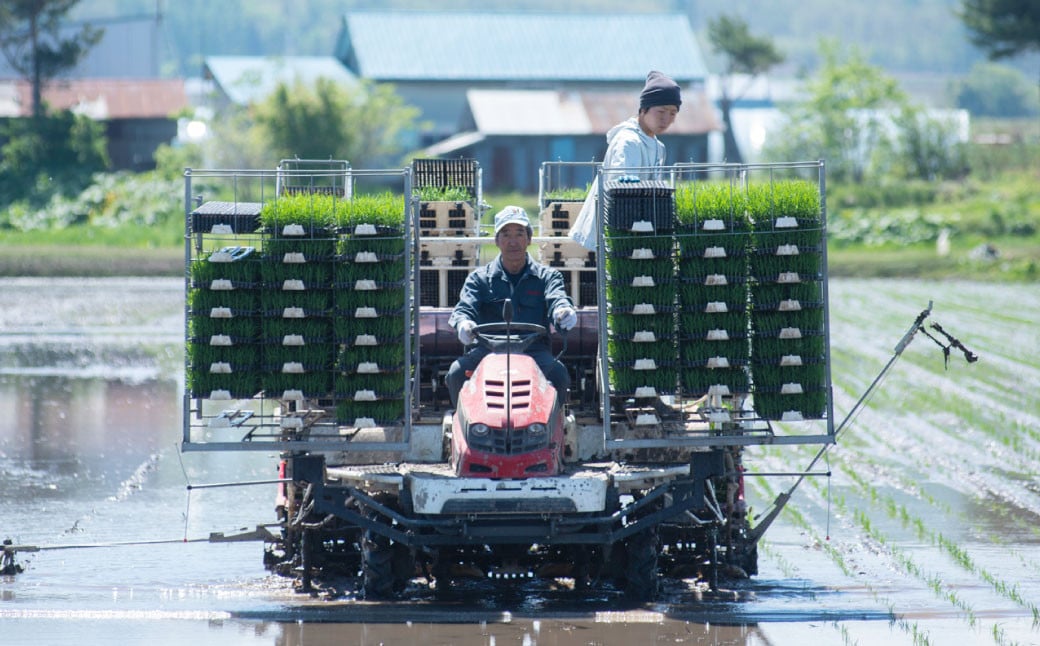 【2ヶ月定期便】北海道産 特別栽培米ふっくりんこ（白米） 5kg×2回 合計10kg