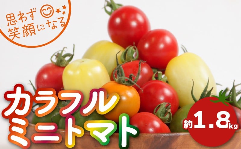 
            【先行予約】 カラフルミニトマト 約1.8kg ミニトマト トマト カラフルミニトマト プチトマト 野菜 国産 フラガール アイコ tomato サラダ 華小町 サングリーン サンオレンジ こだわり アレンジ レシピ ピザ カプレーゼ お弁当 千葉県 銚子市 ふるさと納税 ふるさと納税トマト とまりこ食堂 とまりこ Lindo tomaco farm 【2026年10月上旬-11月中旬頃発送予定】
          