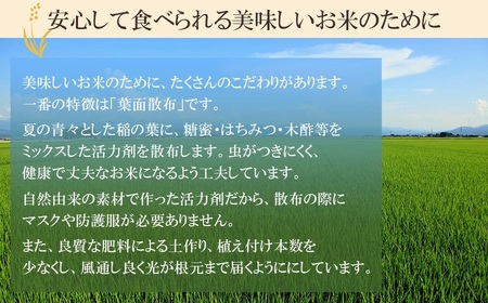 【令和7年産】 井上農場の特別栽培米 つや姫 無洗米 6kg（2㎏×3袋）　K-756　山形県鶴岡市