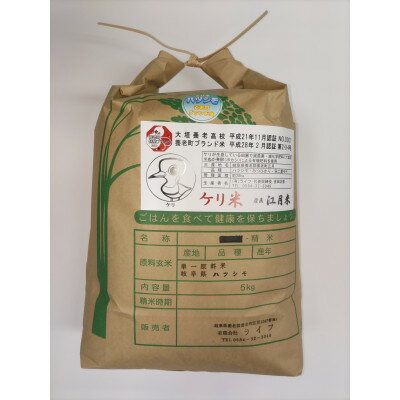 【ふるさと納税】令和7年岐阜県養老産ケリ米ハツシモ　白米5kg【1512097】