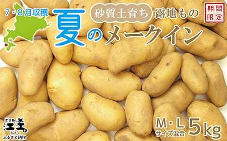 【早期予約：2026年7月頃～順次出荷予定】砂質土育ち「夏」メークイン M・L混合5kg　露地もの　手掘り　江差産メークイン　北海道のじゃがいも　芋の塩煮　肉じゃが　カレー　シチュー　コロッケ　色々なお料理に　北海道産