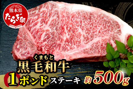 【年内お届け】くまもと黒毛和牛 1ポンド ステーキ 約500g※12月18日～28日発送※ 黒毛 和牛 1 pound ステーキ 500g ブランド牛 上質 常備 冷凍 熊本県 年内発送 年内配送 クリスマス 113-0512-R612