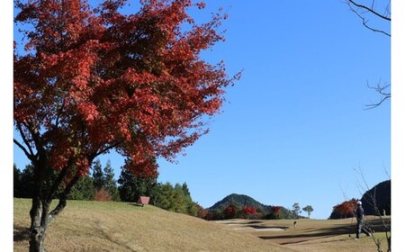むらさき野カントリークラブ （ゴルフプレー割引券）30枚