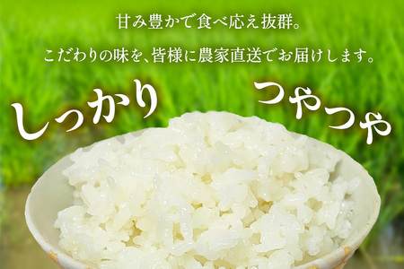 [2025年10月下旬頃から発送] 米 10kg(5kg×2袋) 農家直送！自家製 てんこもり｜先行予約 お米 おこめ コメ 白米 神奈川 伊勢原 [0527]