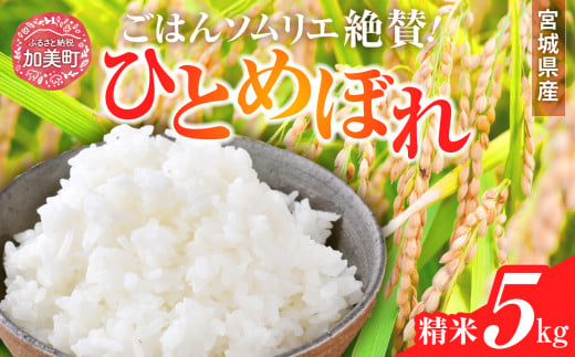 新米 精米 令和6年産 宮城県産ひとめぼれ 5kg [菅原商店 宮城県 加美町 ]  | sg00001-r6-5kg