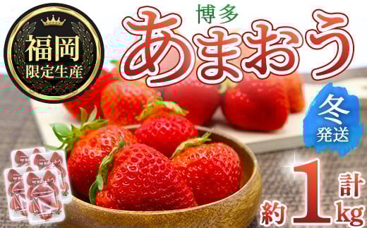 ＜先行予約受付中！2025年12月上旬～2026年1月下旬に順次発送予定＞ 博多あまおう・冬 (計約1kg) いちご 苺 フルーツ 果物 くだもの 福岡限定 家庭用 冷蔵＜離島配送不可＞【ksg1737】【農産物直売所ほたるの里】
