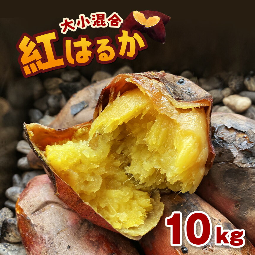 【ふるさと納税】【 先行予約 】 さつまいも 10kg 紅はるか ｜ 密芋 野菜 国産 熊本県 和水町 くまもと県 甘藷 からいも サツマイモ かんしょ 芋 食物繊維豊富