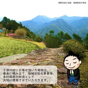 【返礼品なし】十津川村応援寄付　5,000円