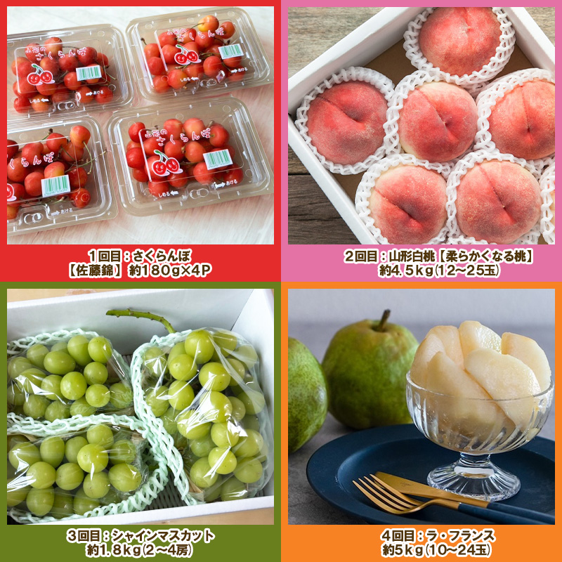 【定期便４回】ノノハナフルーツ 山形人気のフルーツ たっぷり満足便【令和8年産先行予約】FS25-071