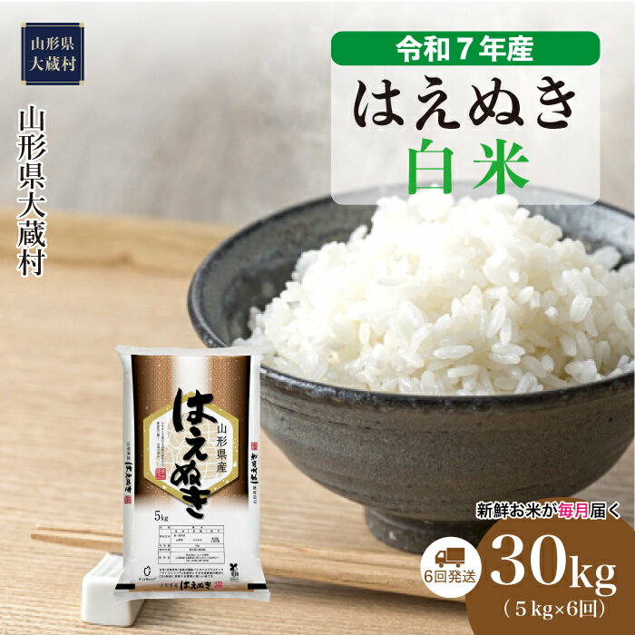 【ふるさと納税】＜令和7年産米＞ 大蔵村 はえぬき ＜白米＞ 30kg定期便（5kg×6回お届け）
