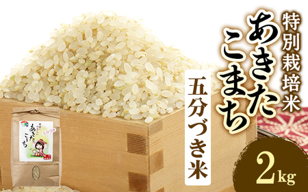 新米　令和6年産　特別栽培米あきたこまち　五分づき米2kg【配送不可地域：離島・沖縄県】【1283156】