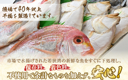【数量限定】漁場手作り干物 季節の厳選おまかせセット 約1kg 3種以上【詰め合わせ 冷凍 干物セット 人気 アジ カレイ レンコ鯛 あじ ?油漬け カマス ハタハタ ふぐ ひもの 冷凍干物 お取り寄