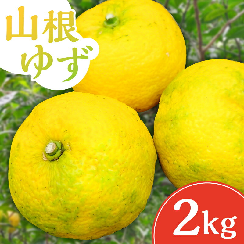 【ふるさと納税】【先行受付 2025年11月中旬～12月20日発送予定】山根ゆず 2kg 千葉県 南房総市 果物 果実 フルーツ 柑橘類 国産 マーマレード 薬味 香りづけ 料理 アクセント お取り寄せ グルメ 送料無料