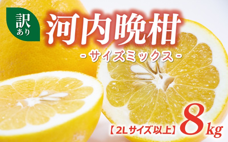 
            訳あり 河内晩柑 2L サイズ 以上 8kg サイズミックス 7000円 みかん かわちばんかん ミカン mikan わけあり 愛南ゴールド 家庭用 あいなん ゴールド 美生柑 文旦 派生 和製 グレープフルーツ 産地直送 国産 農家直送 期間限定 数量限定 特産品 人気 限定 甘い おいしい フルーツ 果物 柑橘 蜜柑 アイス ジュース 等に 規格外 大樹農園 愛南町 愛媛県
          