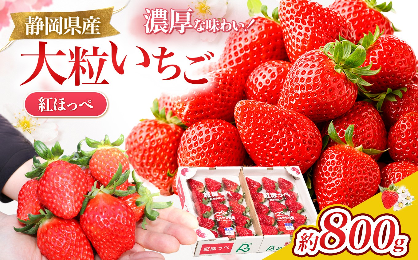 
                  【先行予約/数量限定】新鮮大粒いちご！伊豆紅ほっぺ厳選（約400g×2パック）|いちご 紅ほっぺ 産地直送 静岡県 伊豆の国市
                