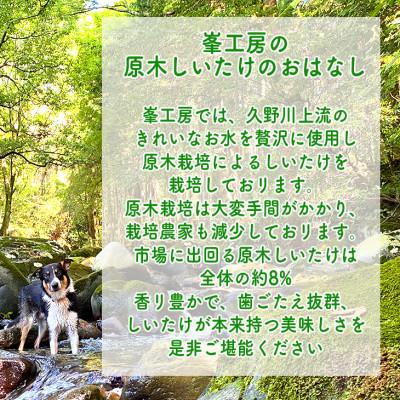 ふるさと納税 小田原市 しいたけ味噌　大瓶 260g×3本 |  | 01