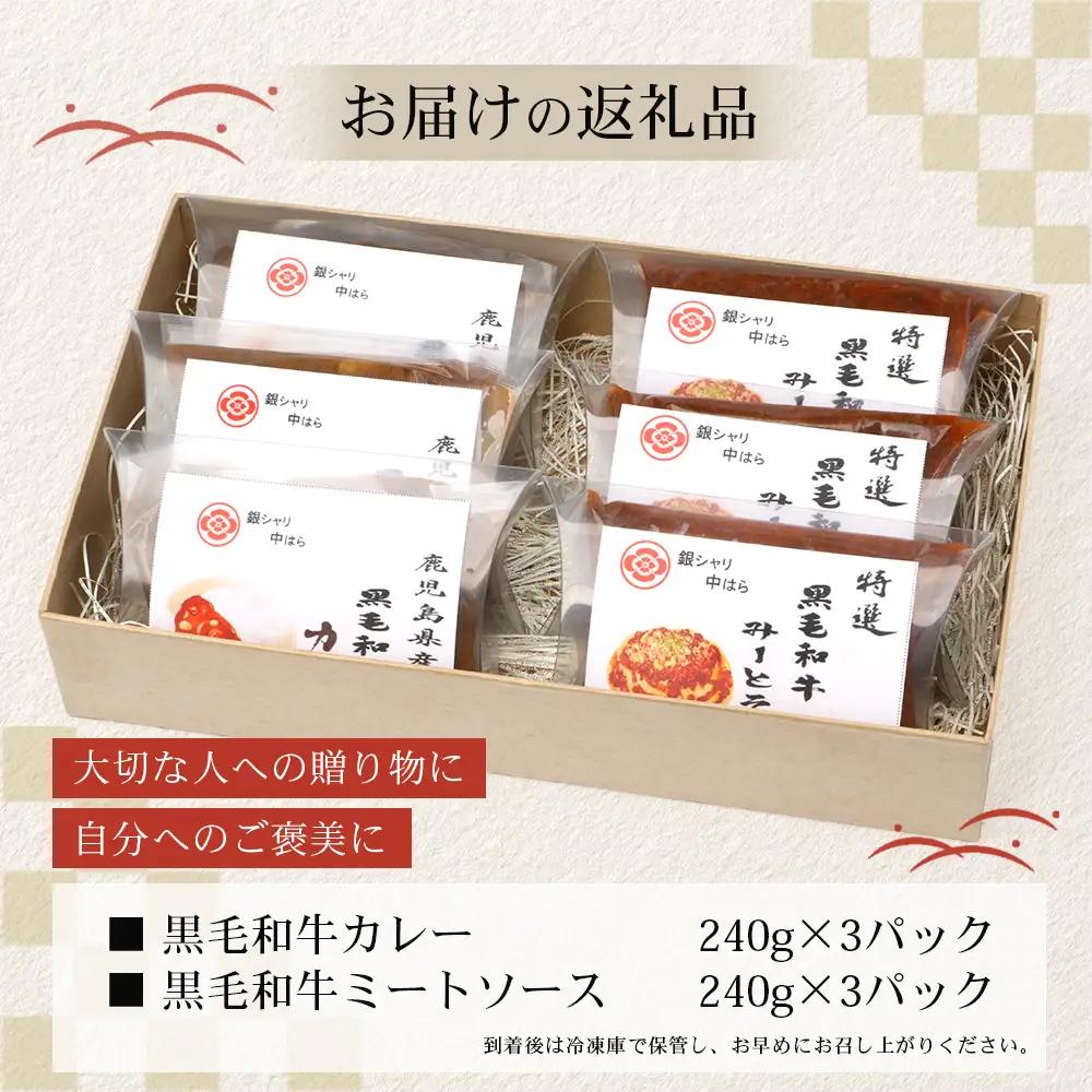 ［2種類］＼日本料理人の手作り／ 鹿児島県産 黒毛和牛レトルトパック 2種セット ≪合計6パック≫ カレー（240g×3パック）/ミートソース（240g×3パック）GN-9｜鹿児島県 南大隅町 あたた
