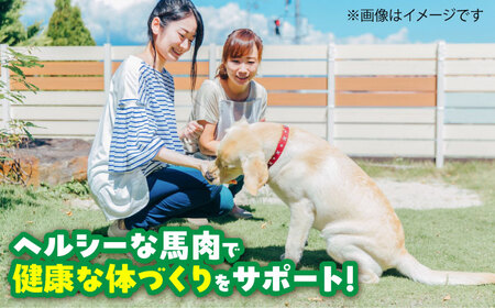 【全12回定期便】詰め合わせ 国内加工 ペット用 馬肉 切り落とし 約1kg ペット用 馬刺しジャーキー 約100g BHCY068