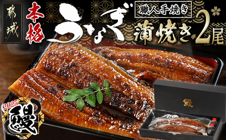 【丑の日】職人手焼きの本格うなぎ蒲焼き2尾≪7月10日～18日お届け≫_MJ-3305-UG_(都城市) 鰻 丑の日