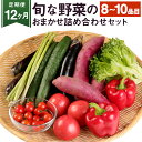 【ふるさと納税】【定期便 12か月】旬な野菜のおまかせ詰め合わせセット 8～10品目 5kg以内 毎月お届け 12カ月 旬 野菜 詰め合わせ 野菜詰め合わせ おまかせ 野菜セット セット 季節の野菜 新鮮 国産 九州産 熊本県産 送料無料