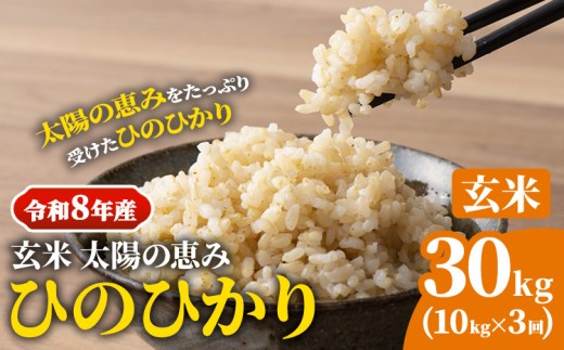 【令和8年産】 岡山県産 ひのひかり 笠岡産 10kg×3回（計30kg） 太陽の恵み （玄米） st-p