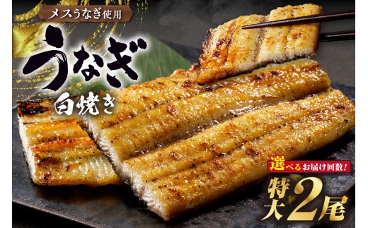 
                  三河高浜産三代目養鰻家の白焼きうなぎ　特大2尾【選べるお届け回数】
                
