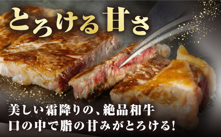 【全3回定期便】【A4～A5ランク】長崎和牛 サーロインステーキ 400g（200g×2枚）《壱岐市》【野中精肉店】 黒毛和牛 牛肉 和牛 赤身 希少部位  69000円 69000 6万円 [JGC