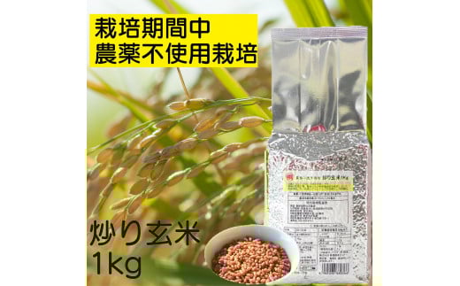 炒り玄米1kg　栽培期間中農薬不使用　静岡市葵区産