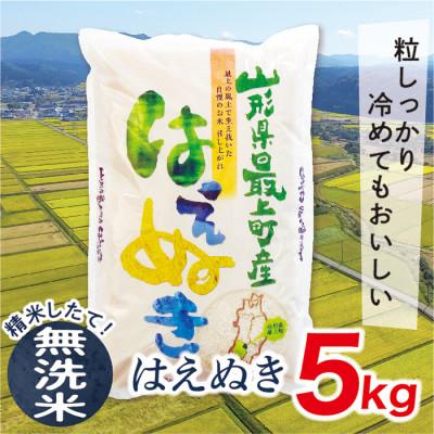 ふるさと納税 最上町 【令和6年産】山形県産はえぬき5kg(無洗米)